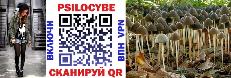 Галлюциногенные грибы мухоморы  Купить закладки  Краснодар 